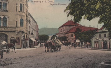 Maribor 10